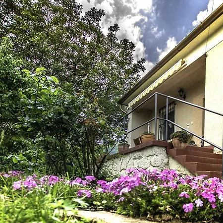 דירה Diofa בלטונדריץ'